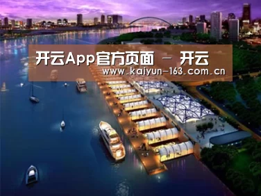 案例展示八